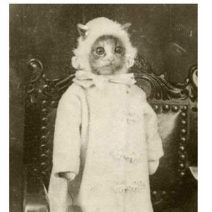 Meet your Posher, Adam